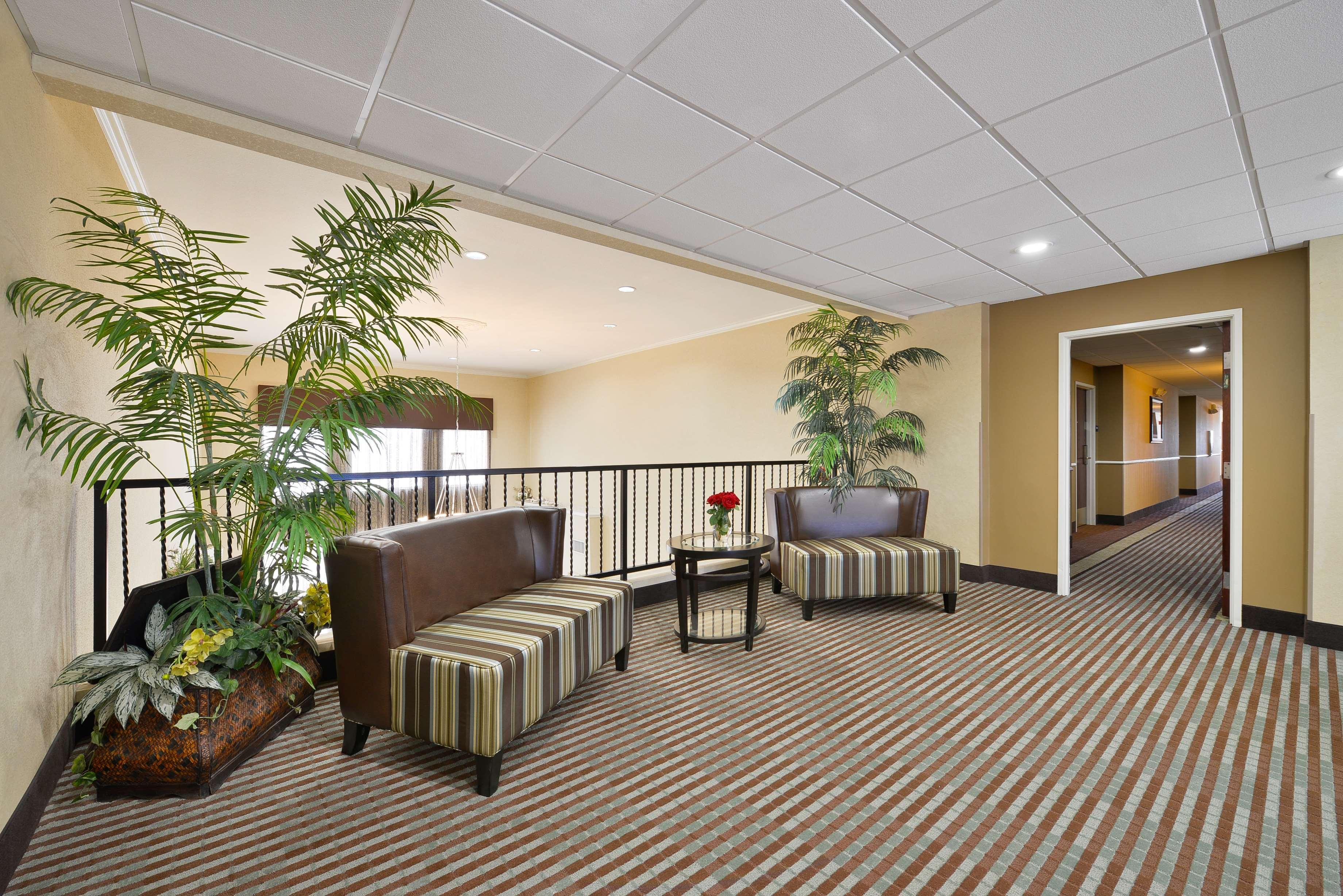 Best Western Plus Cutting Horse Inn & Suites Weatherford Exteriör bild